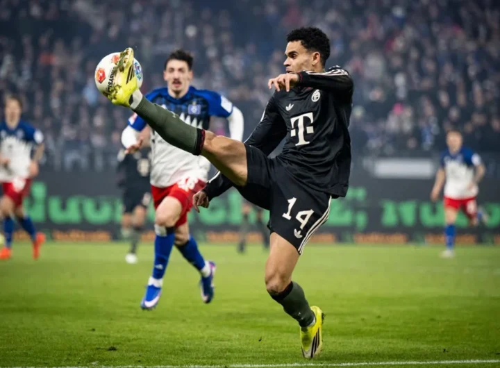 바이에른 대 호펜하임