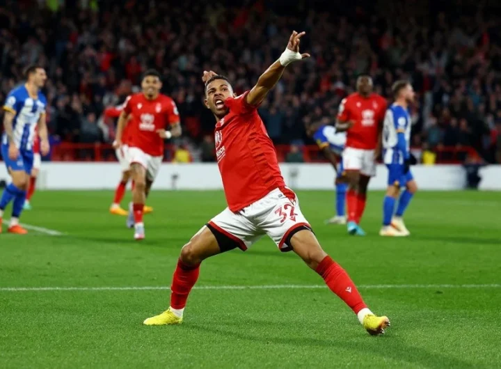 브라이턴 대 노팅엄 포레스트